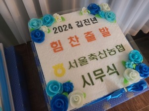 서울축산농협 시무식떡케이크 40cm